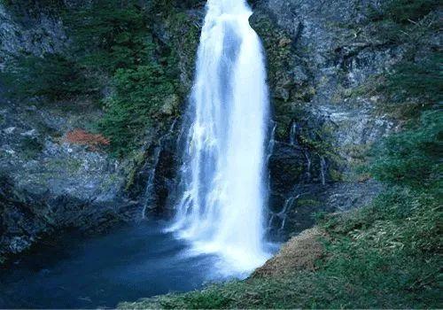 美媒预测拜登获306张选举人票赢得大选